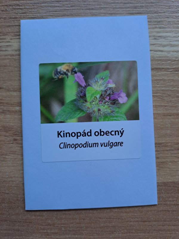 Klinopád obecný - Obrázek 3