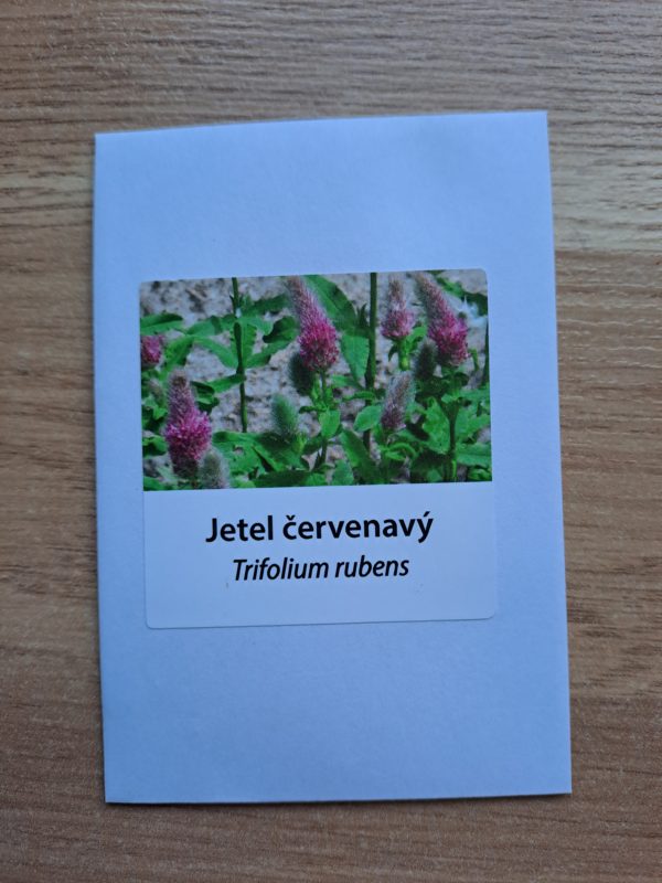 Jetel červenavý - Obrázek 2