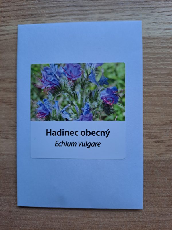 Hadinec obecný - Obrázek 3
